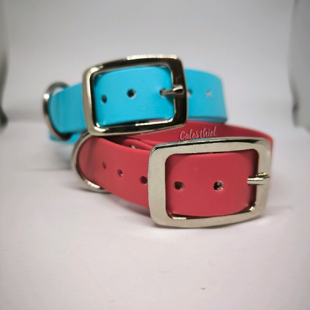 Collier Biothane 25mm