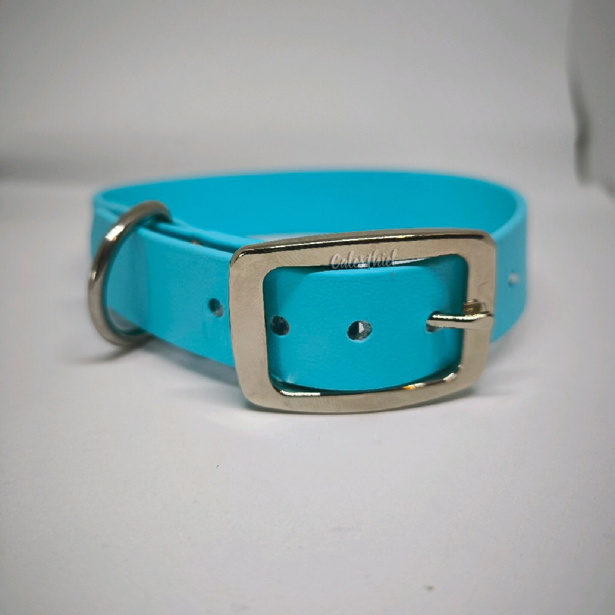 Collier Biothane 25mm