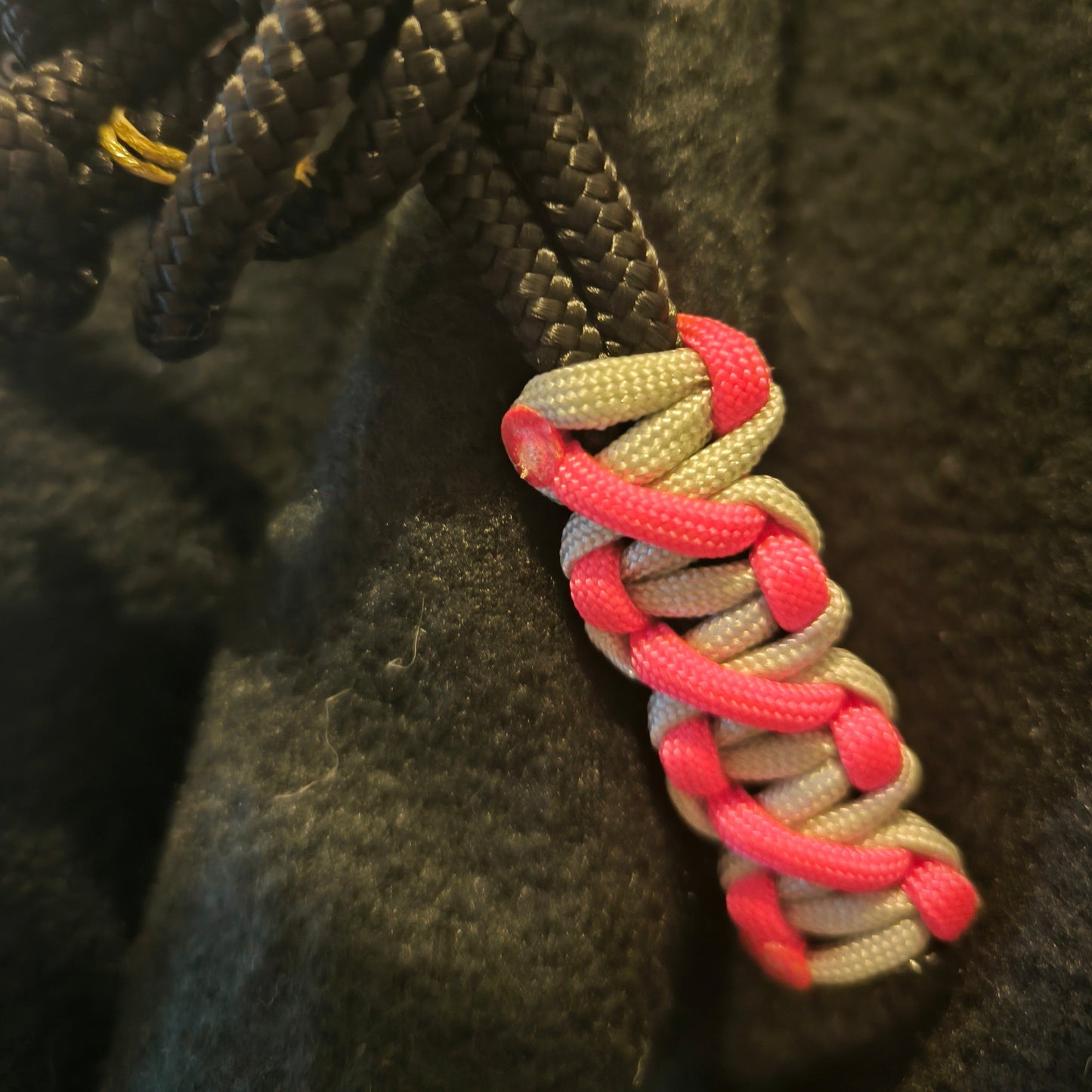 Licol Azalée taille poney