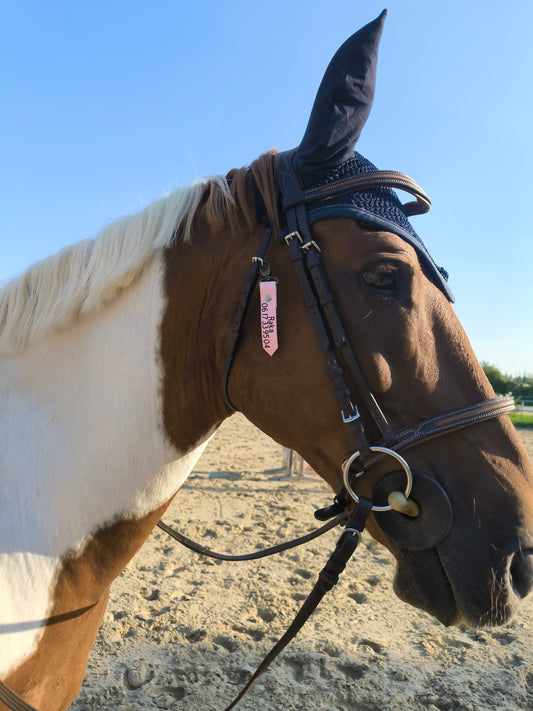 Kit Balade Essentiel